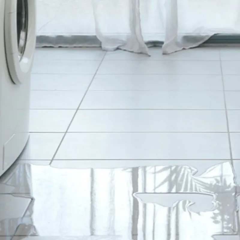 Appliance Leak Cleanup in Farmington, IL