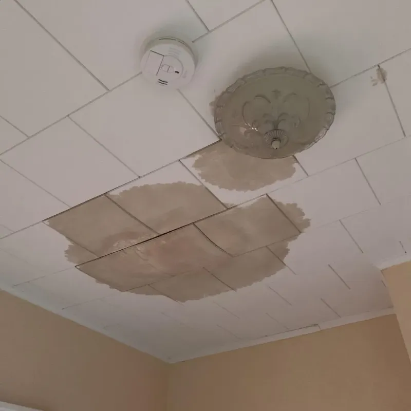 Ceiling Water Damage Repair in Farmington, IL