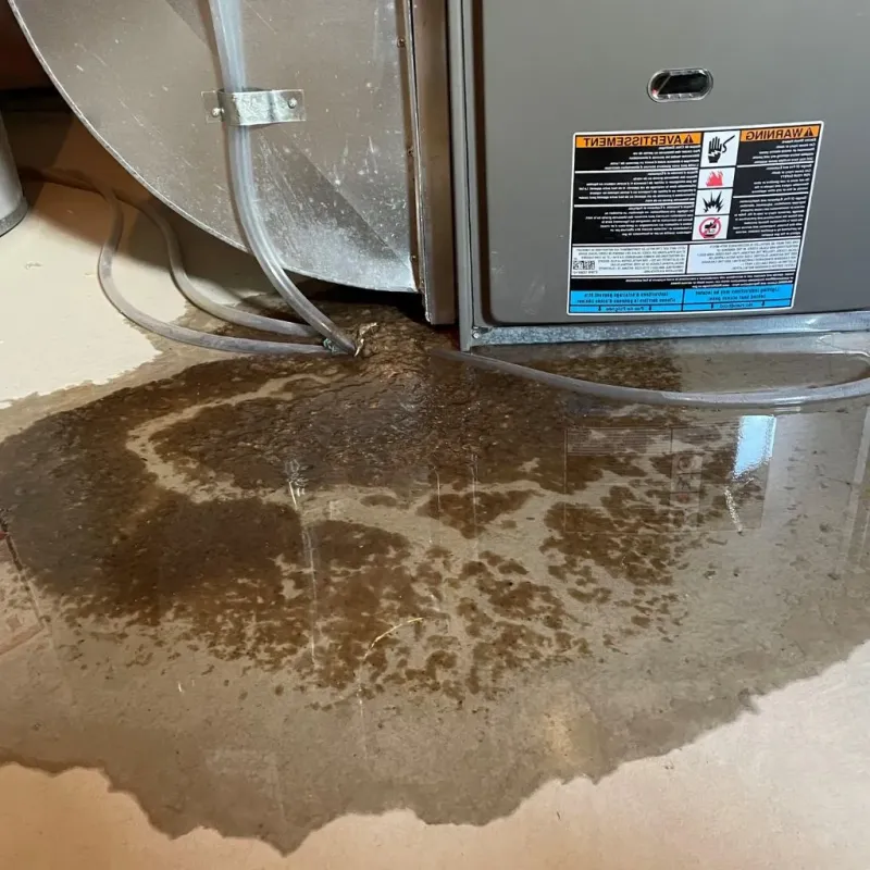 Pipe Burst and Leak Restoration in Farmington, IL