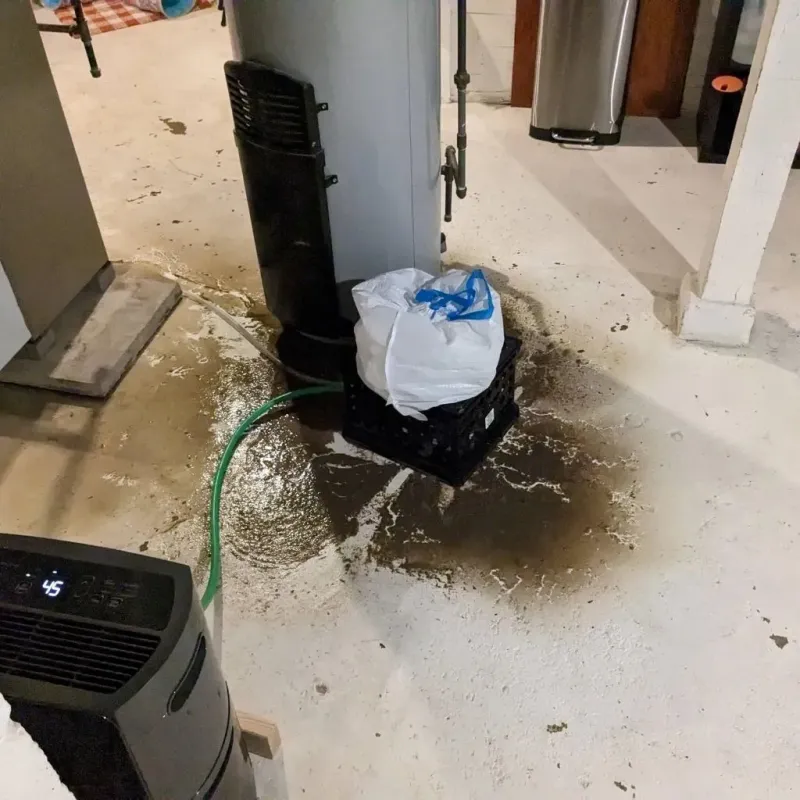 Sewage Backup Cleanup Service in Farmington, IL